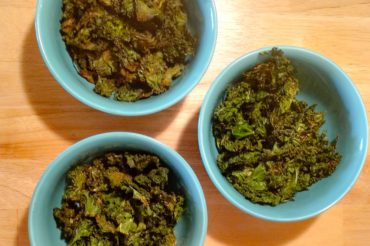 Tasty Tuesday: Kale Chips